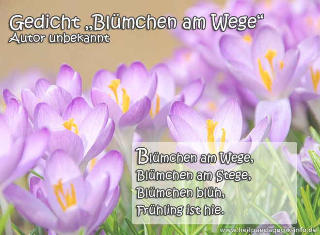 Frühlingsgedicht Blümchen am Wege Frühlingsgedicht Frühlingsbild