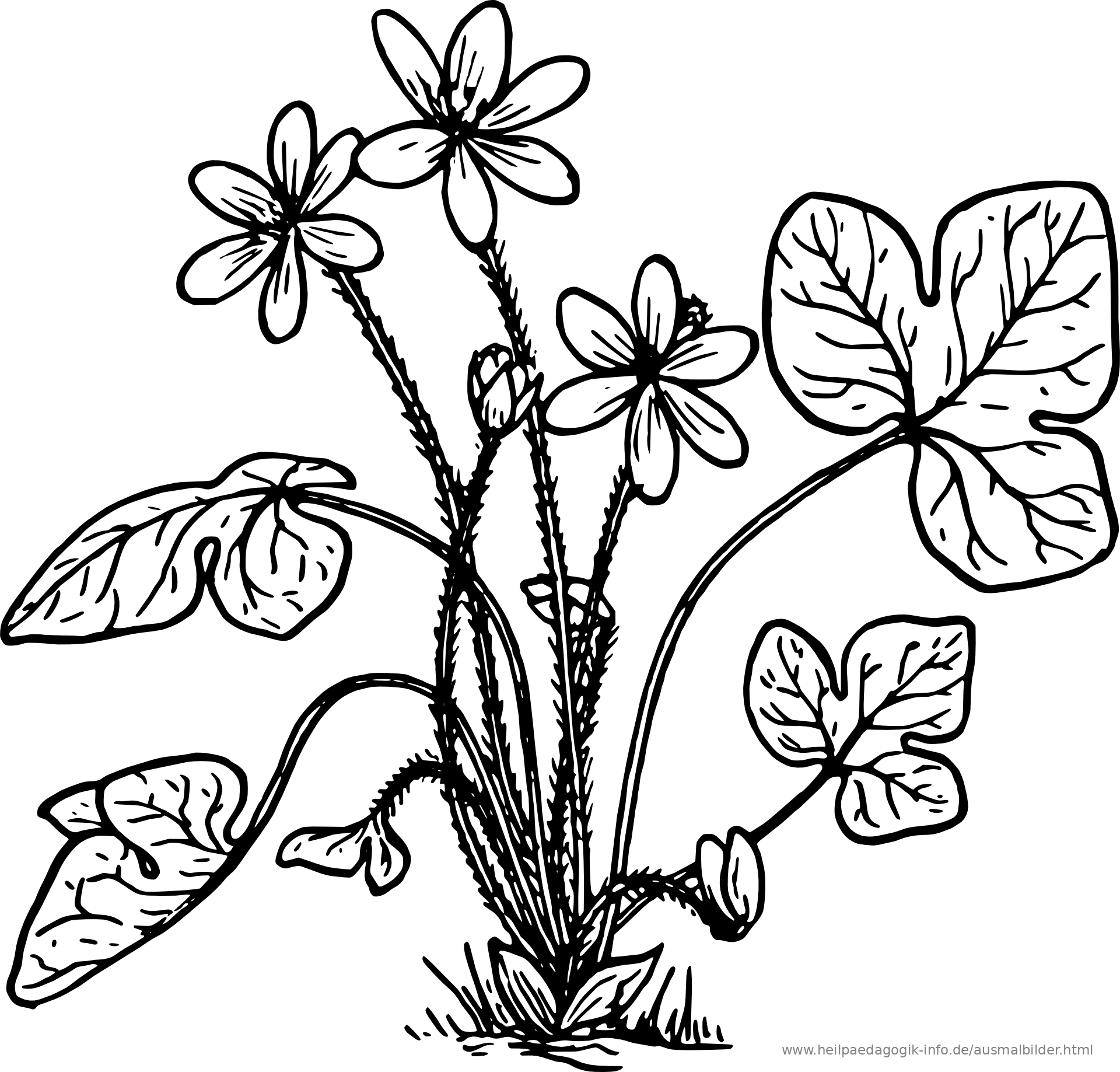 a5 coloring pages - photo #1
