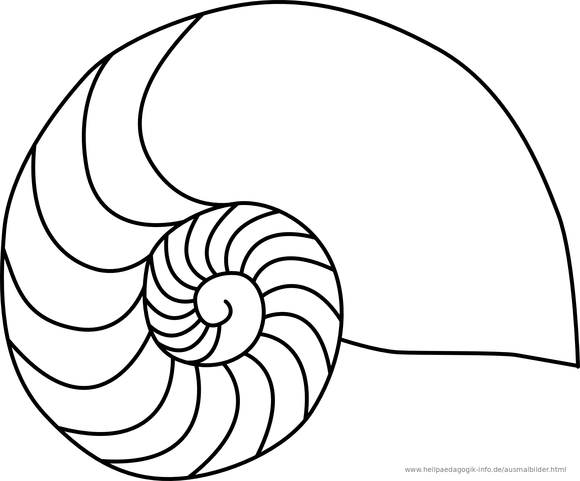 Malvorlagen Muscheln Malvorlage Muschel Kostenlose