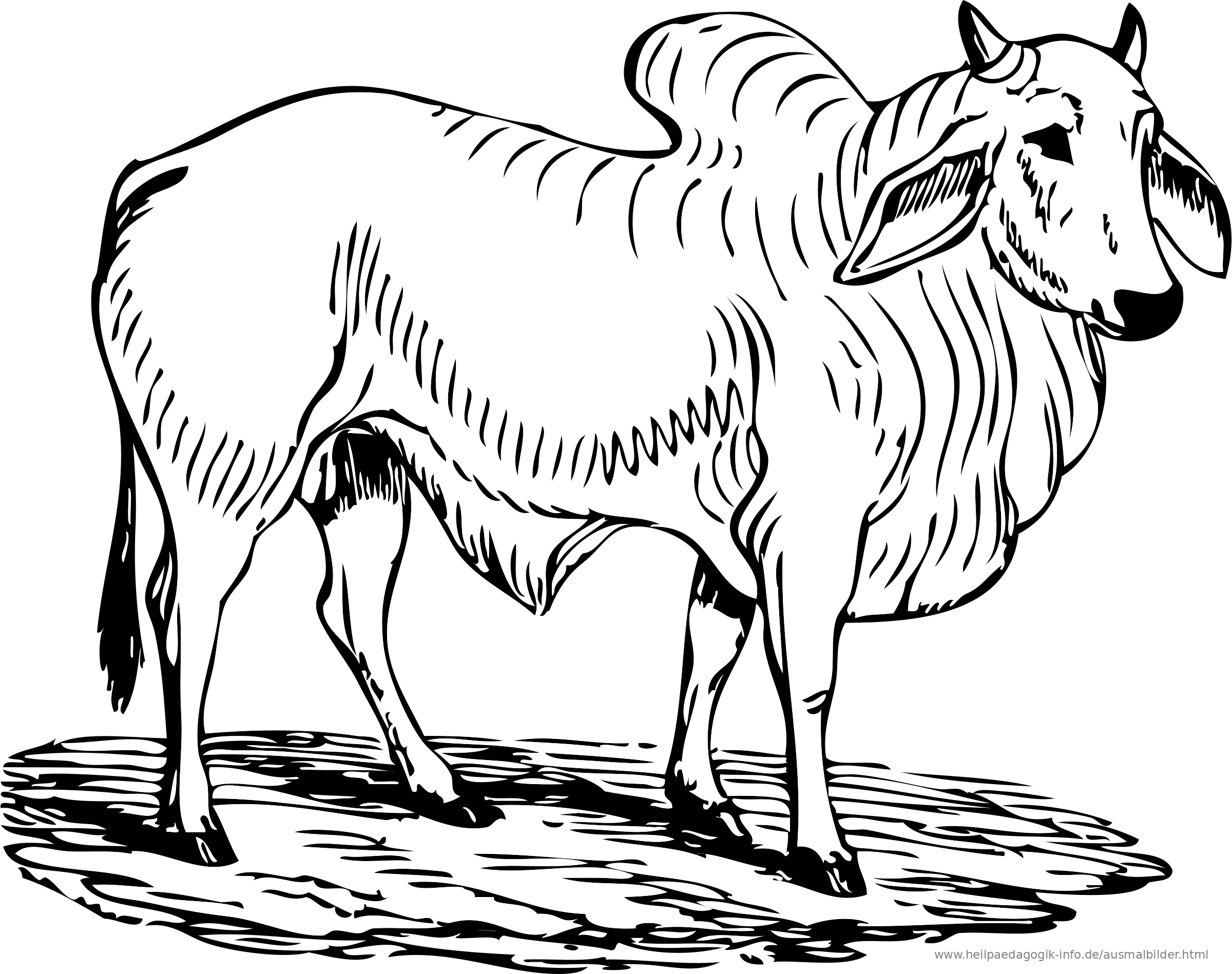 301 Moved Permanently