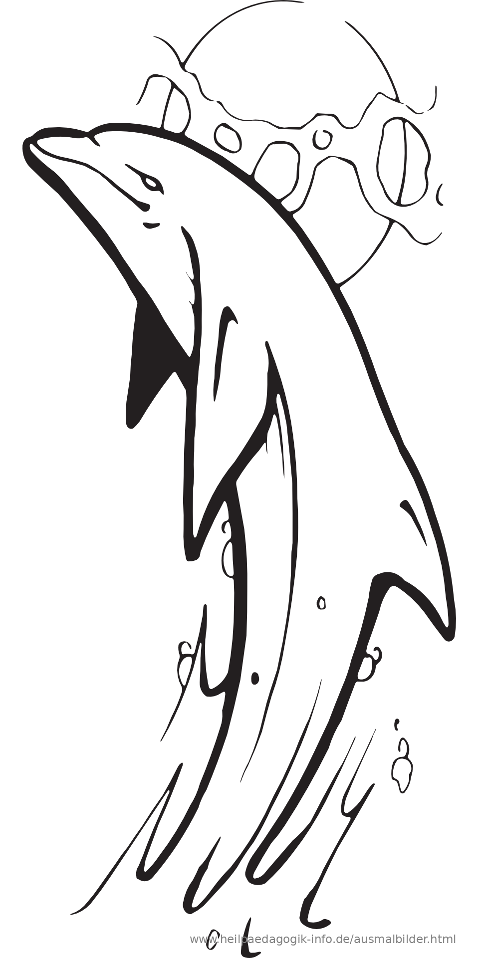 delphin malvorlage einfach