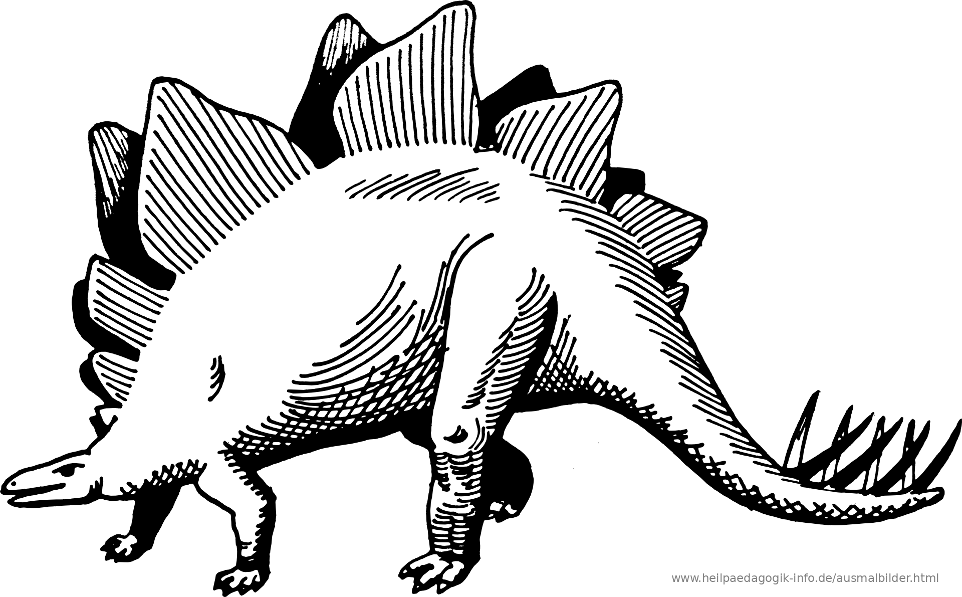 malvorlagen dinosaurier pdf  zeichnen und färben
