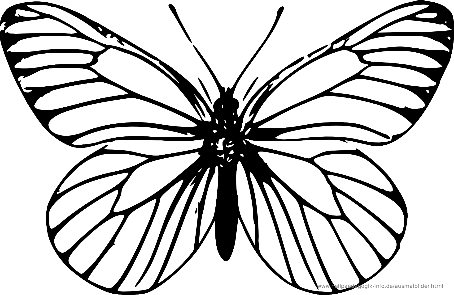 Ausmalbilder Käfer, Schmetterlinge, Insekten