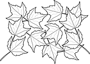Ausmalbild Malvorlage Blätter