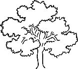 Ausmalbild Malvorlage Baum