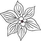 Ausmalbild Malvorlage Blüte