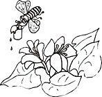Ausmalbild Malvorlage Blume und Biene