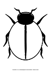 Ausmalbild Malvorlage Käfer
