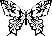 Ausmalbild Malvorlage Schmetterling
