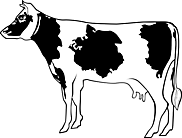 Ausmalbilder Kühe