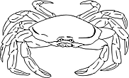 Ausmalbild Malvorlage Krabbe