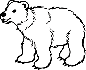 Ausmalbild Malvorlage Eisbär