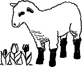 Ausmalbild Malvorlage Schaf