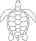 Ausmalbild Malvorlage Schildkröte