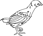 Ausmalbild Malvorlage Huhn