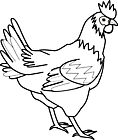 Ausmalbild Malvorlage Huhn
