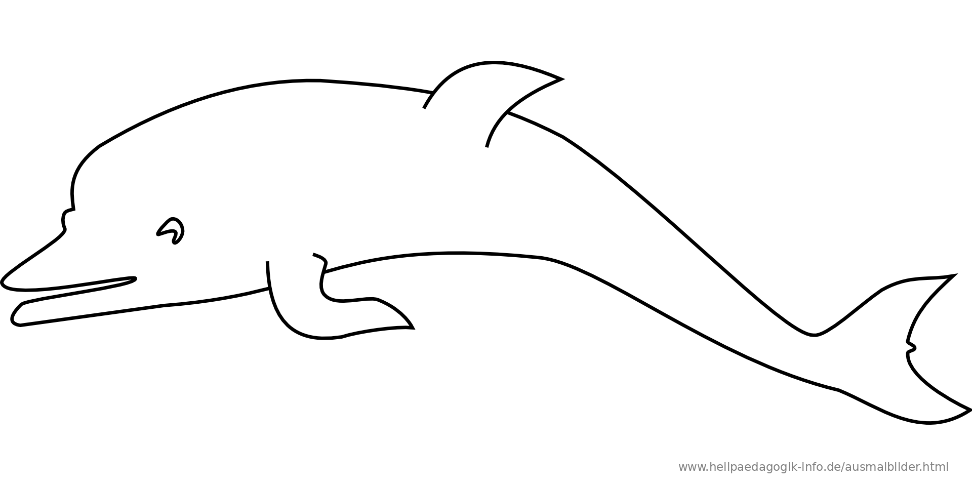 Ausmalbilder Delfin Mit Muster Ausmalbilder Delfin Mit Muster