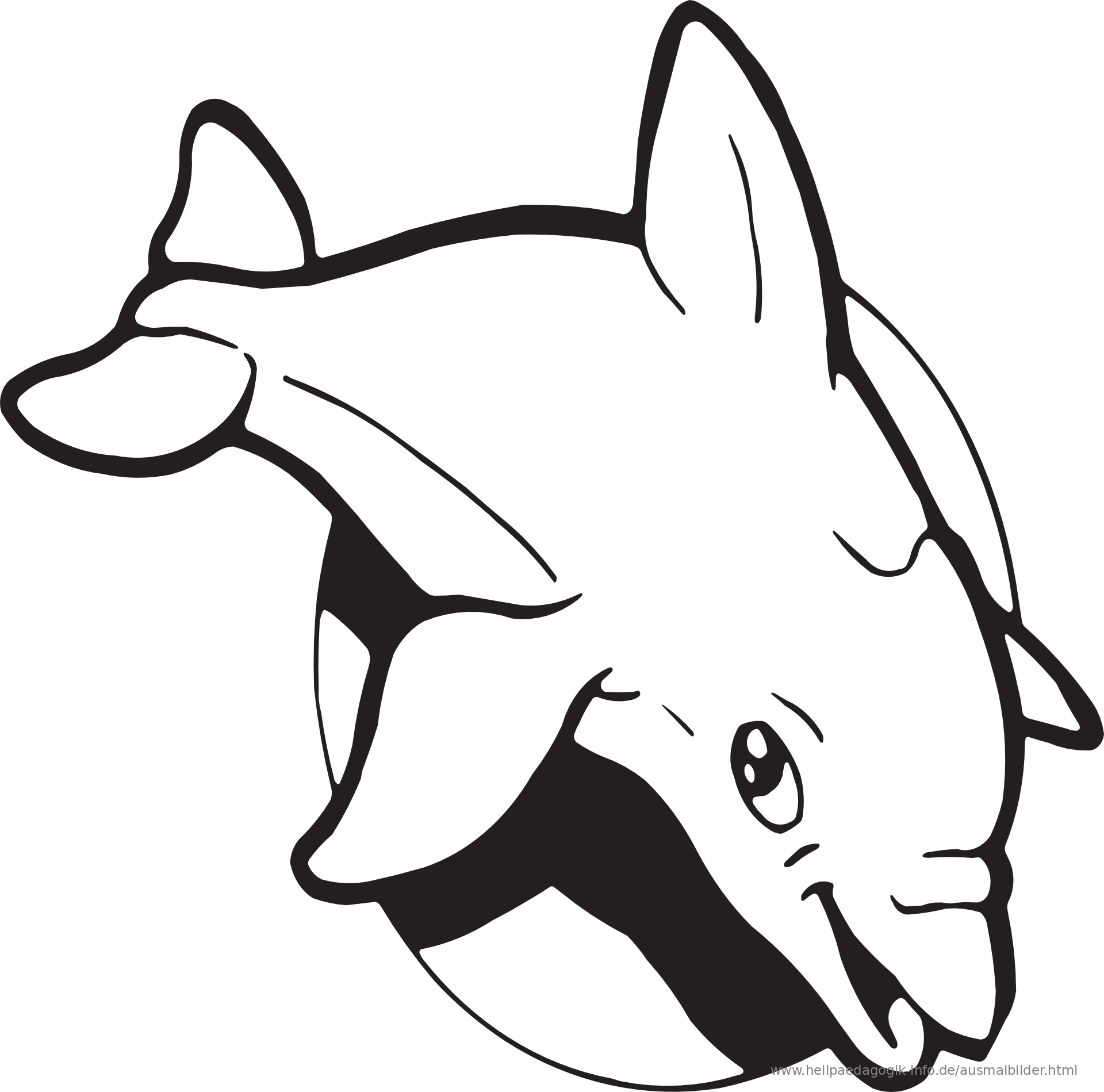 ausmalbilder fische