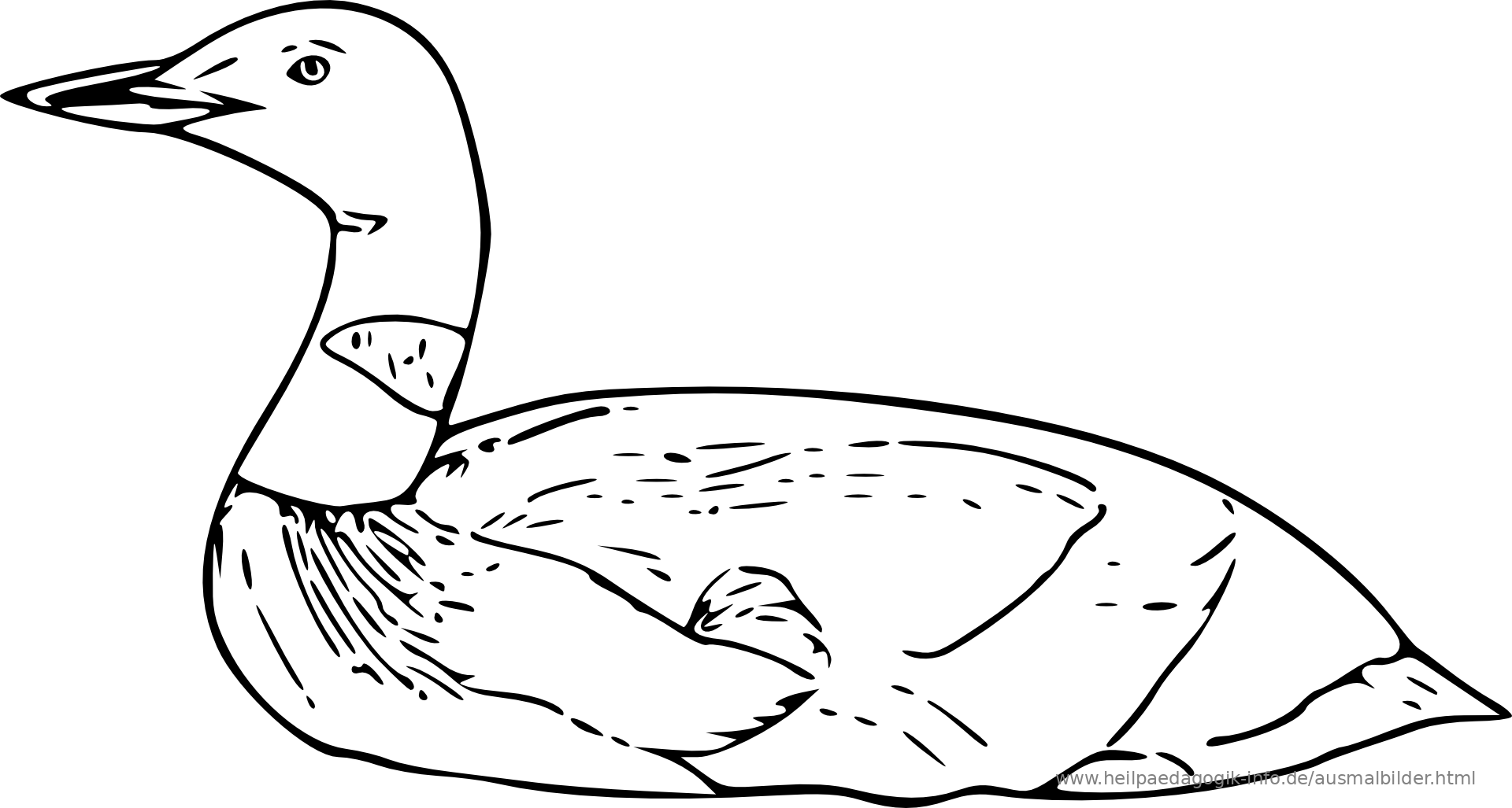 Ausmalbilder Vögel