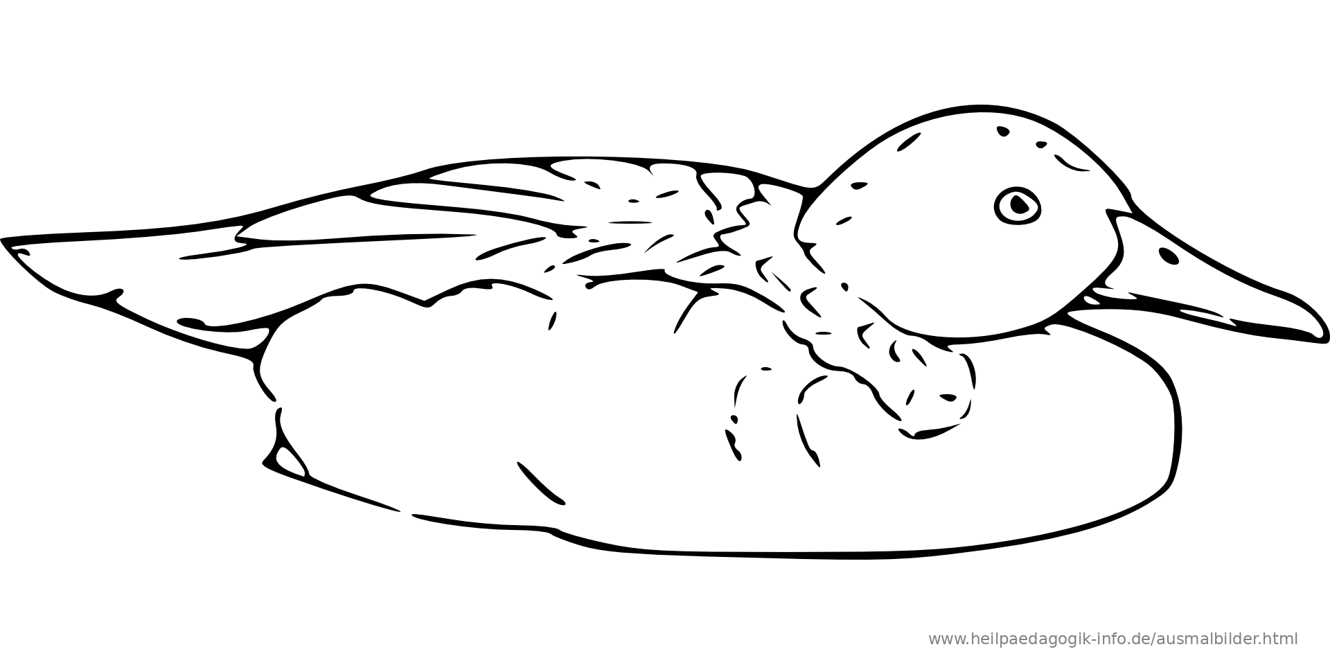 10 Malvorlage Ente Kostenlos Top Kostenlos Färbung Seite 10 Malvorlage Ente Kostenlos Top Kostenlos Färbung Seite