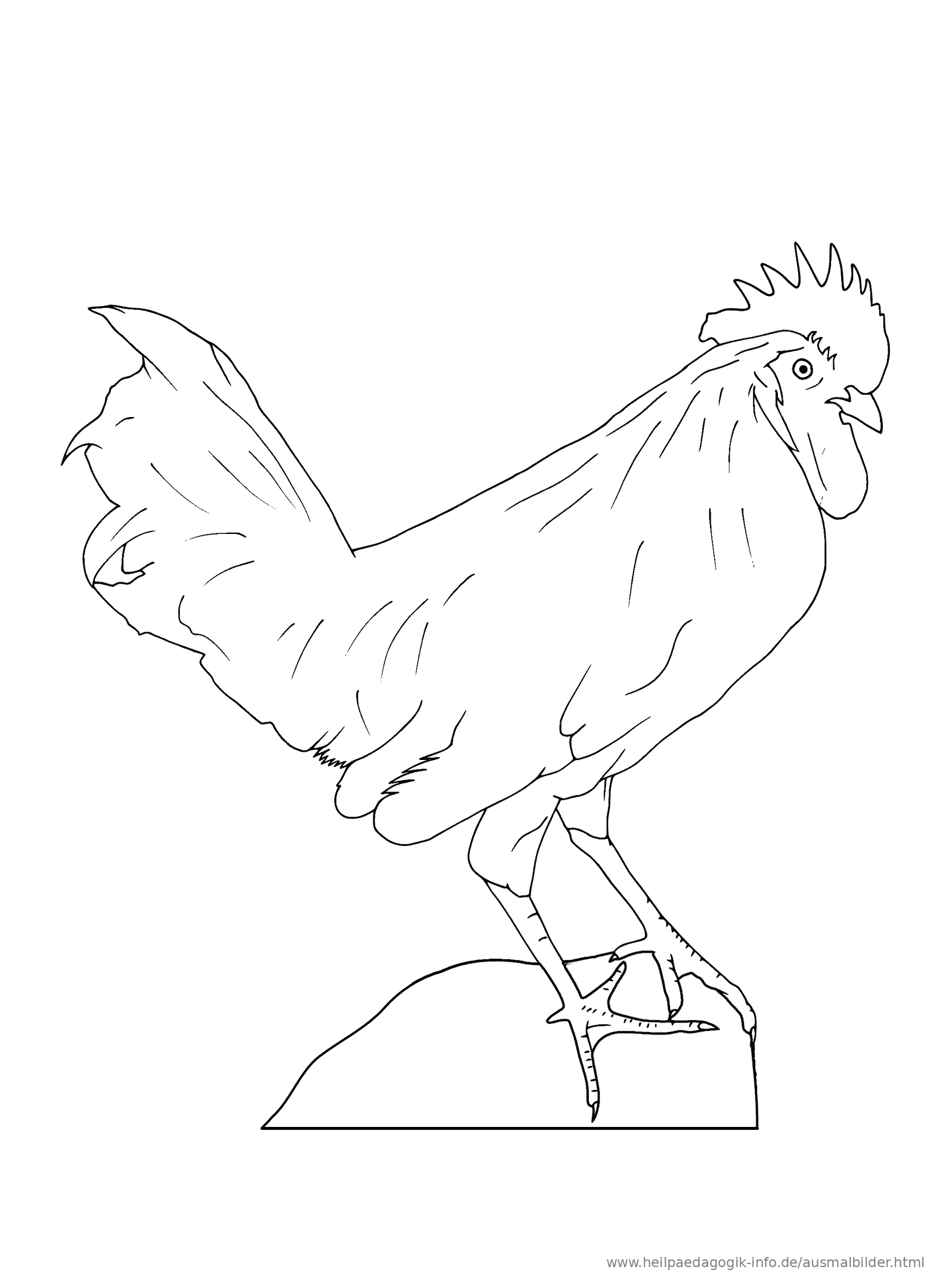Genial Ausmalbilder Hahn Kostenlos Top Kostenlos Färbung