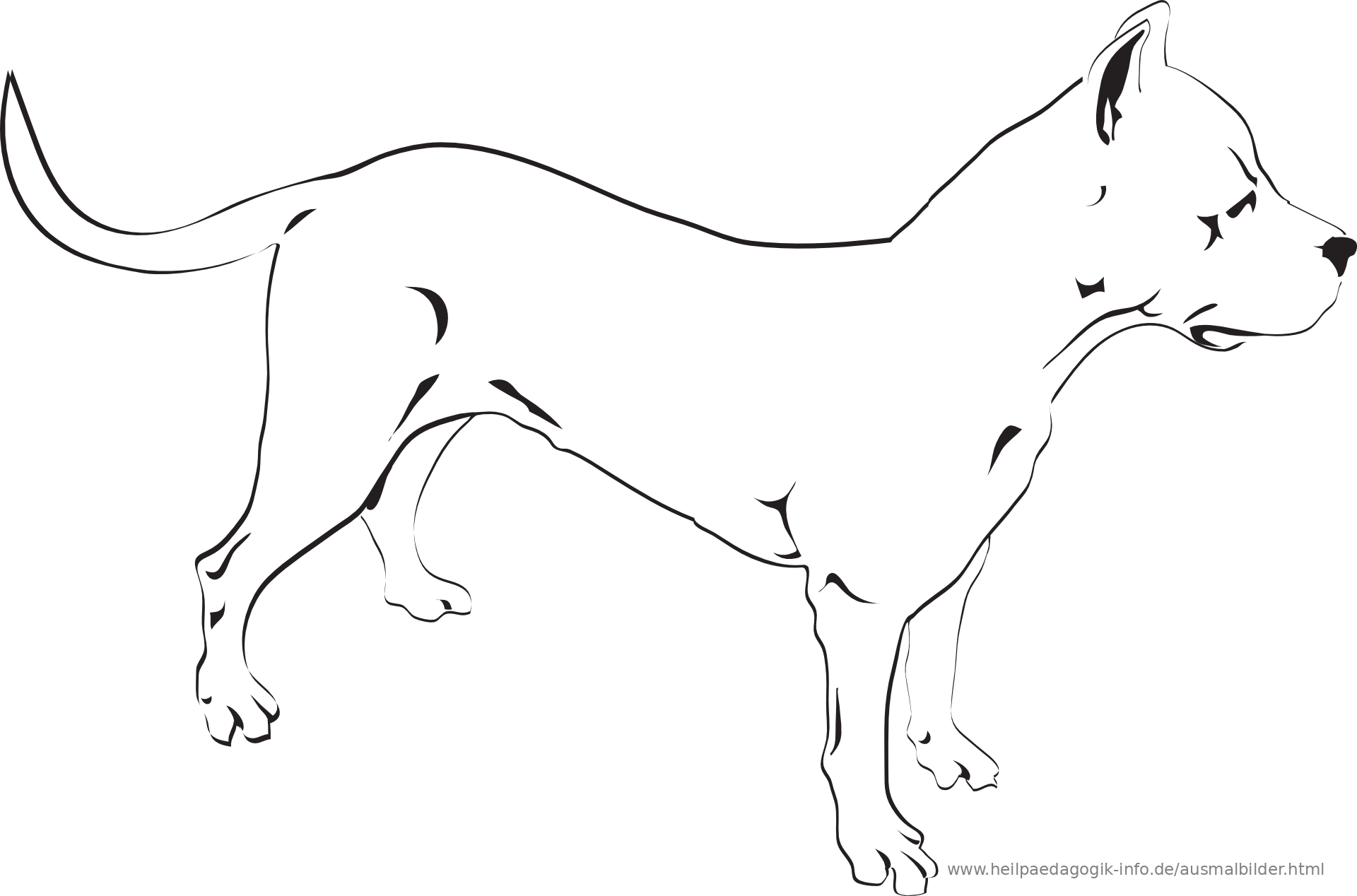 Ausmalbilder Hunde Ausmalbilder Hunde