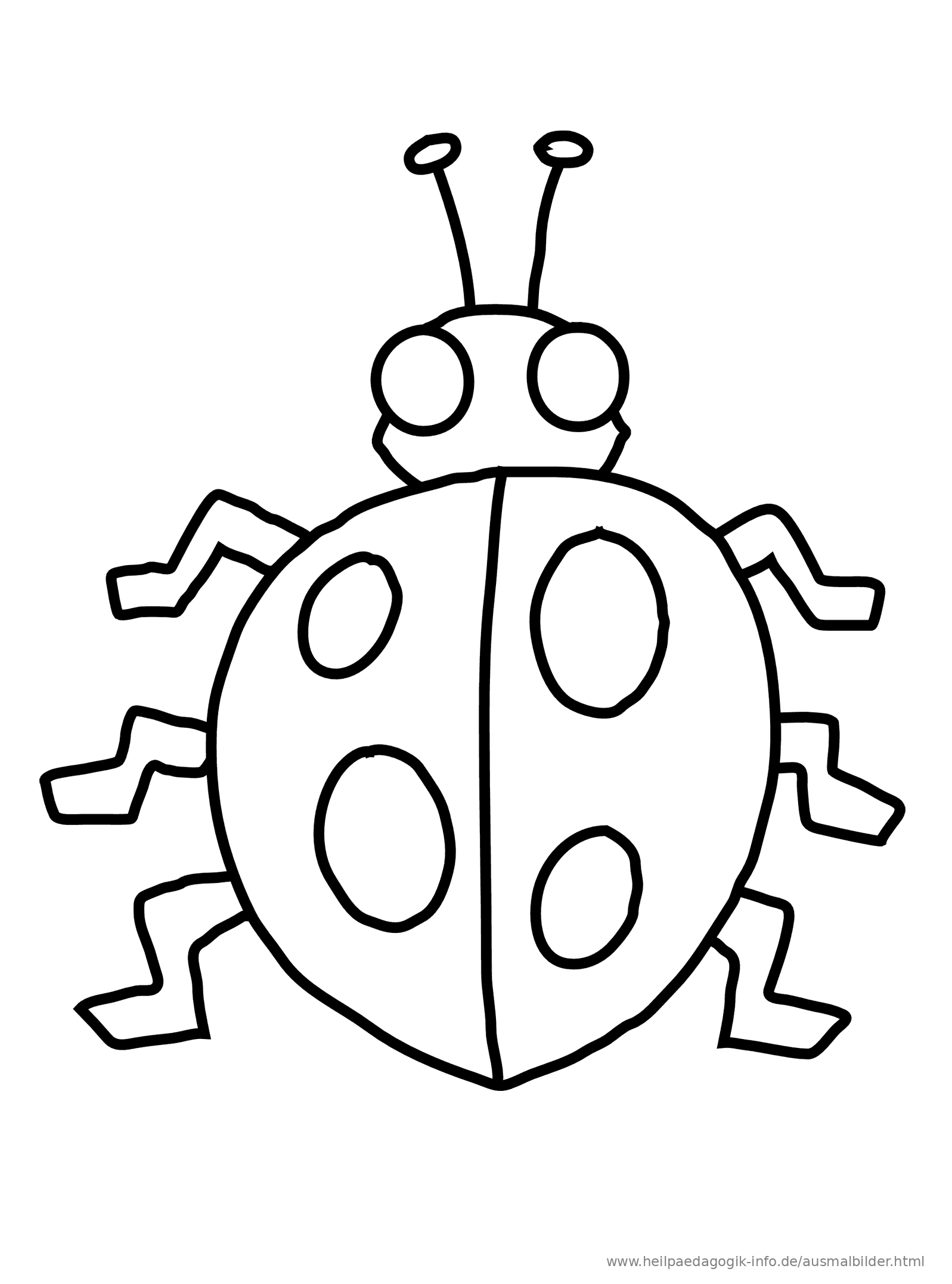 Ausmalbilder Käfer, Schmetterlinge, Insekten