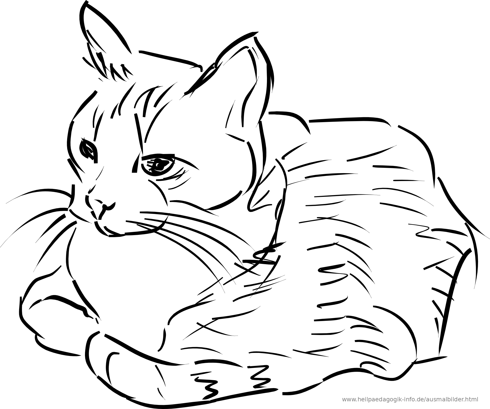 clip art line drawing of a cat - photo #2