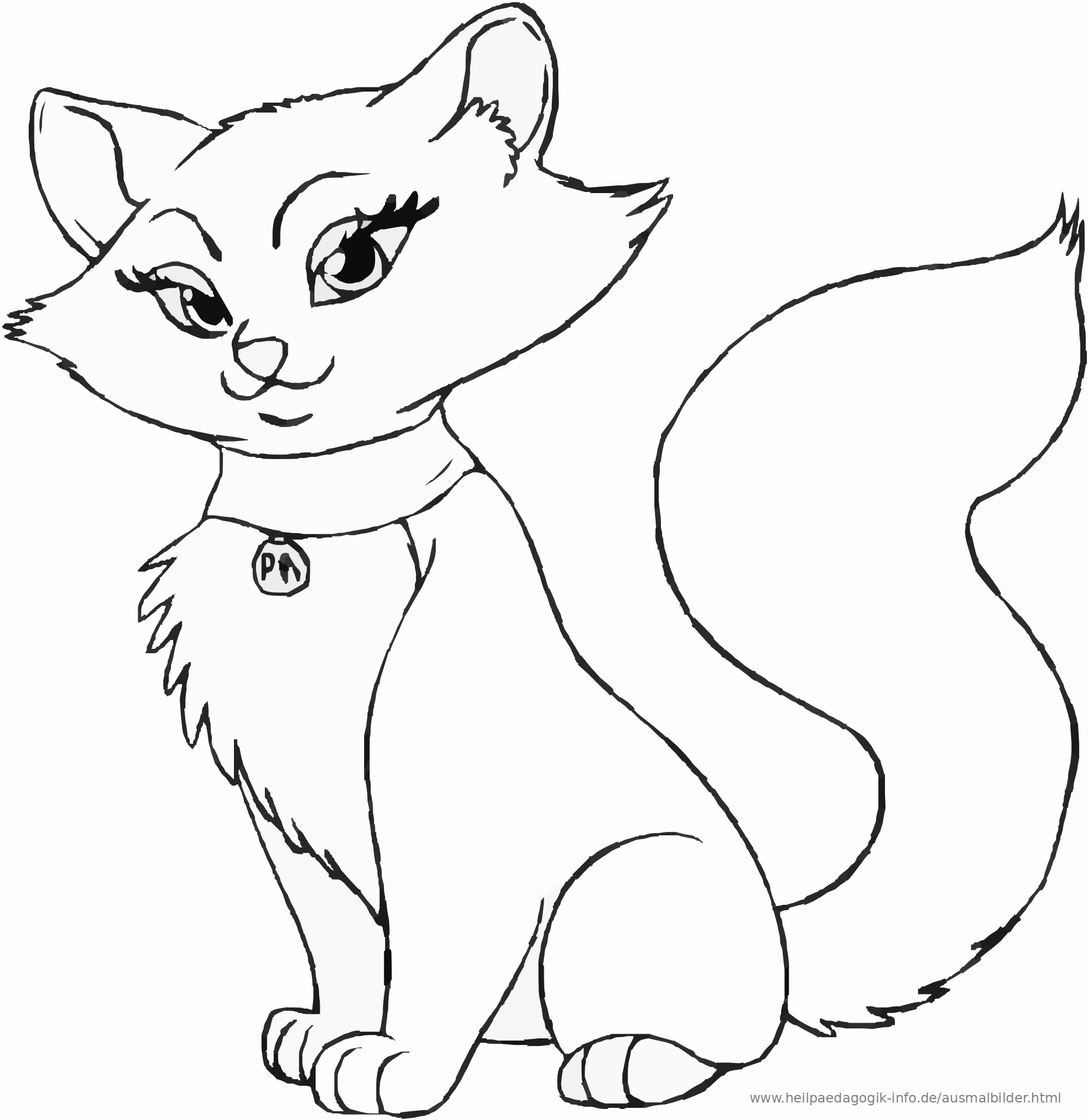 Ausmalbilder Katzen Kostenlos Ausmalbilder Zum Ausdrucken HQNT