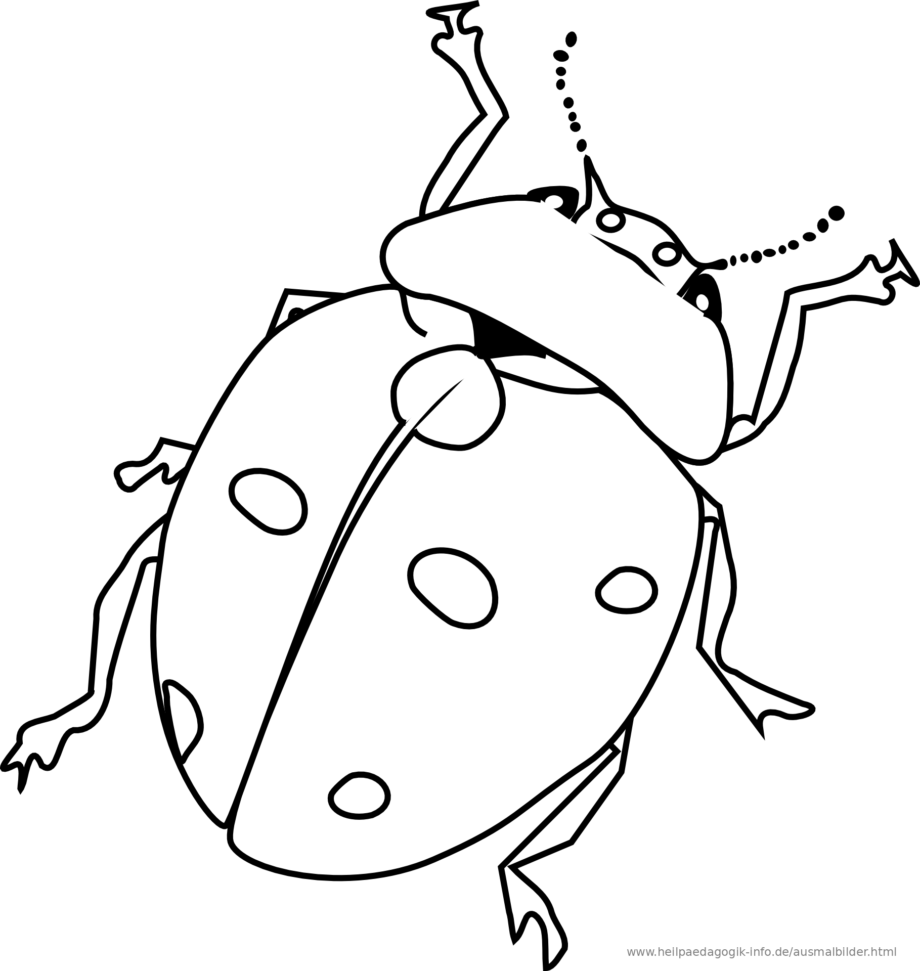 free black and white clip art bugs - photo #25