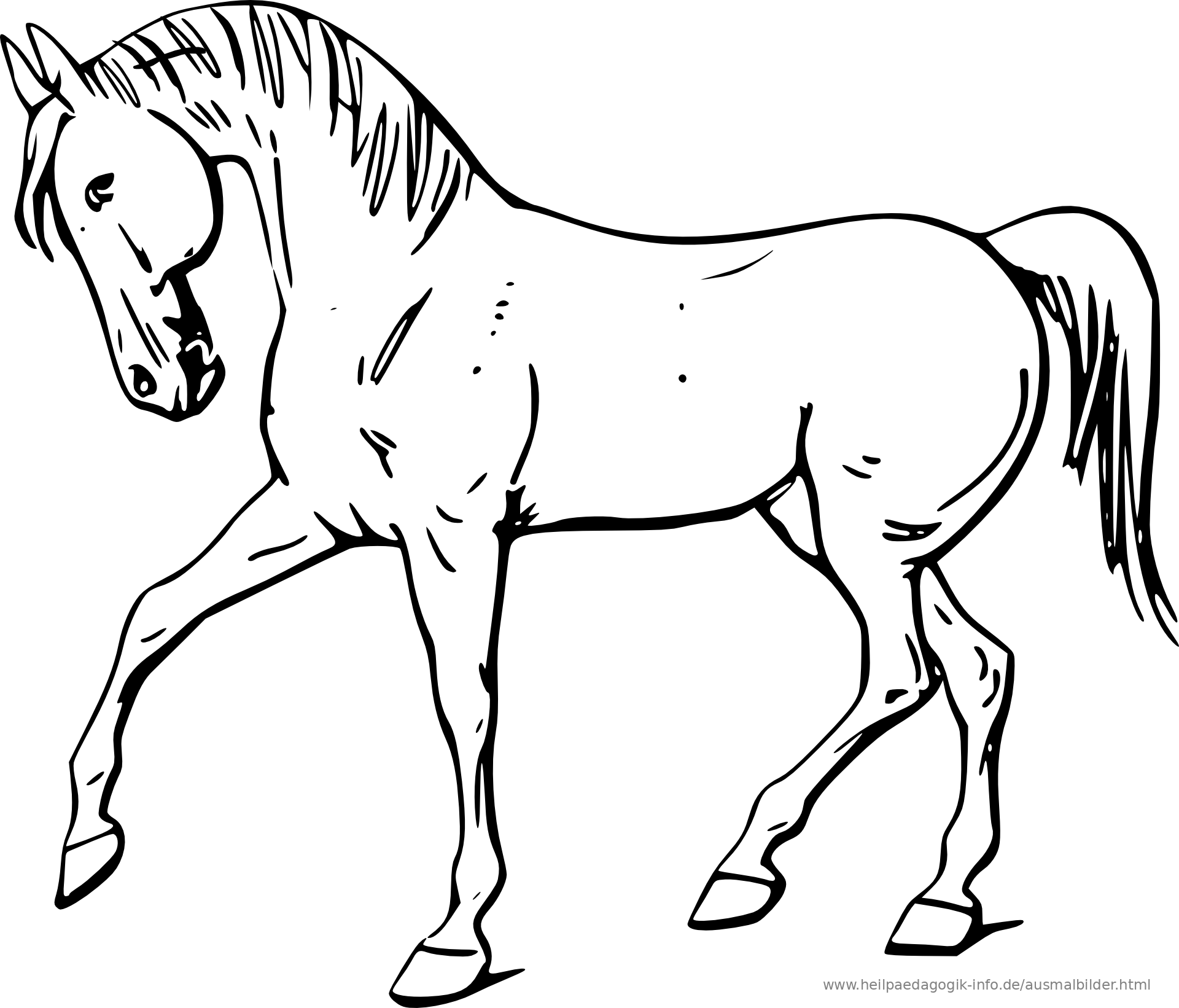 Malvorlage Pferdekopf Einfach | Coloring and Malvorlagan