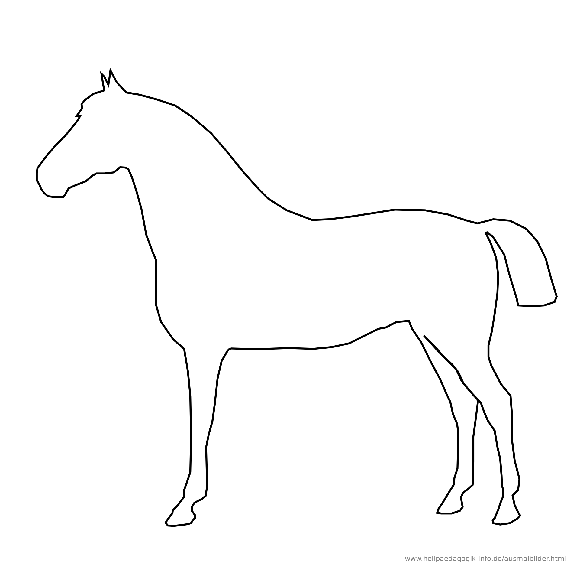 malvorlage pferdekopf einfach  coloring and malvorlagan