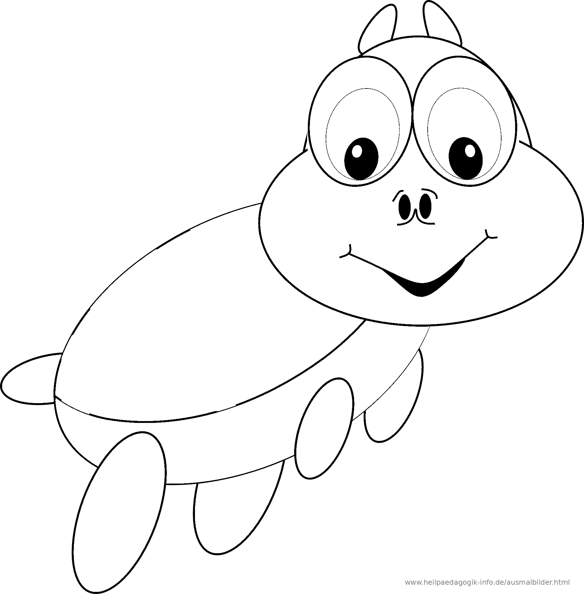 27 Coole Seerobbe Malvorlage Beste Malvorlagen