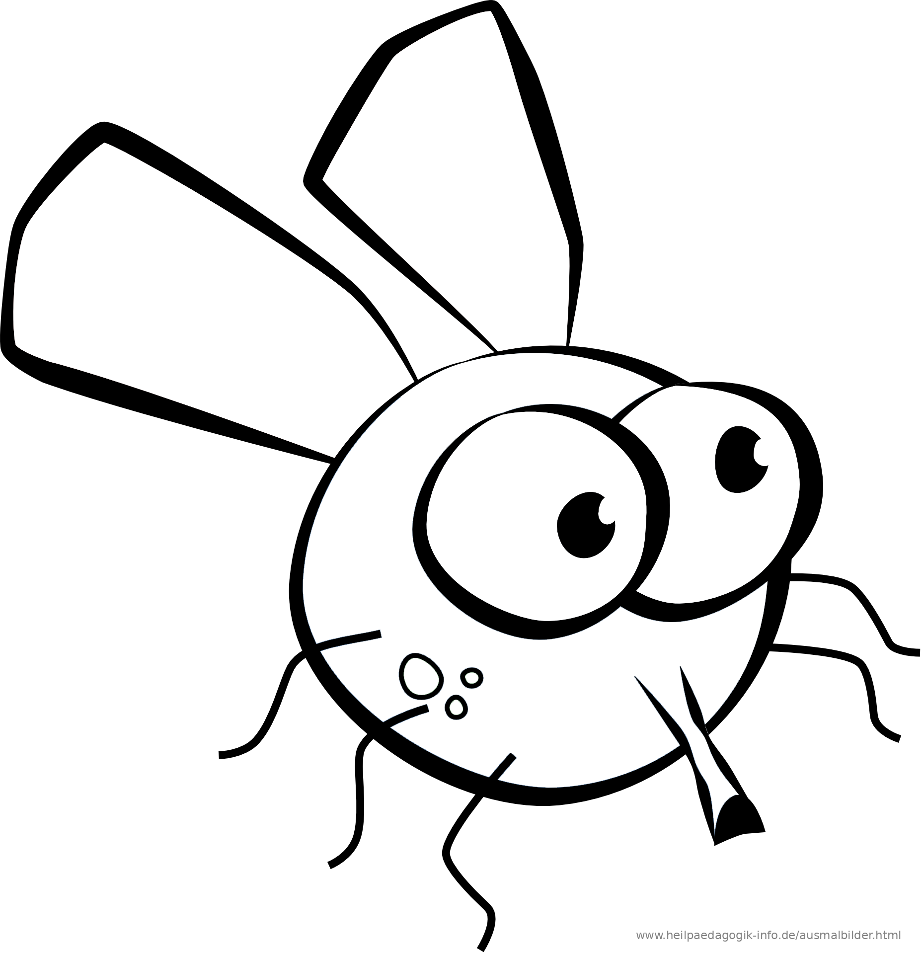 Ausmalbilder Käfer, Schmetterlinge, Insekten